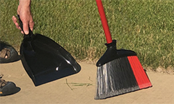Broom and Dustpan outdoors