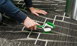 Person cleaning carpet with scrub brush