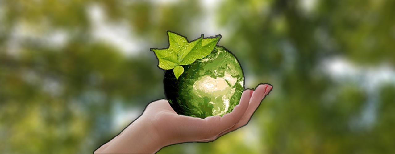 Sustainability header